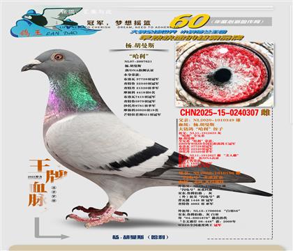 �߱�����