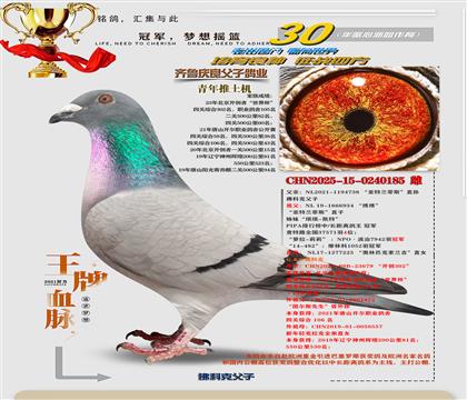 ����-���������