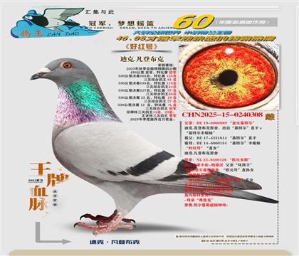 ����֮��