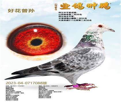 �û�����