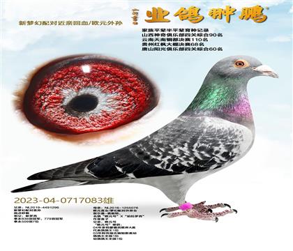 ���λ���Խ��׻�Ѫ/ŷԪ����