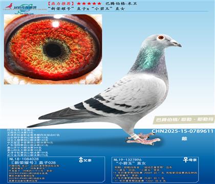 ���ڲ���-���� ������ҫ�š�ֱ��x��С����ֱŮ