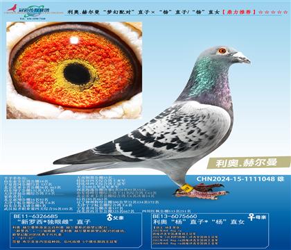 ����.�ն������λ���ԡ�ֱ�ӡ����ֱ��/���ֱŮ