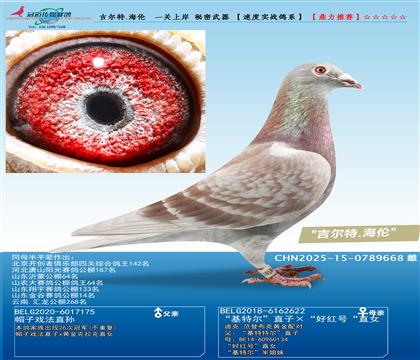 ������.����  һ���ϰ� ��������