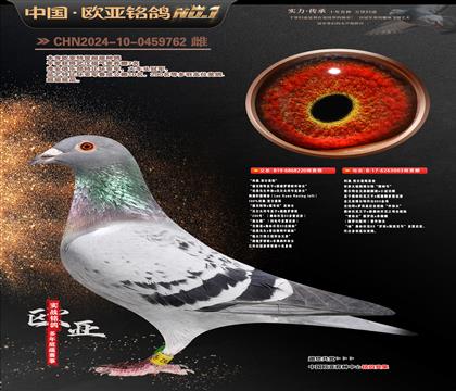 ����ԭ��220X���������۴�003