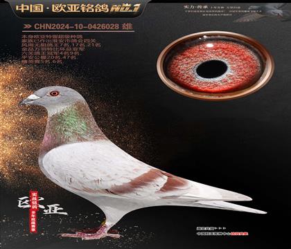 �Ͽ˷��ǲ���288X�ƽ���ŷ40000��