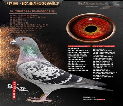 �Ǳ�ԭ������ŷ088X��ӥ��2196