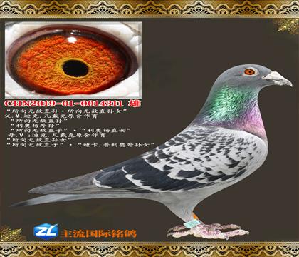 �����޵н���