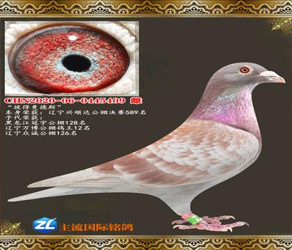 �˵�����˹������