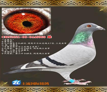 �ٰ���.ƽ���������ظ����Ǿ�