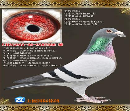 ��Դ�＾��������240��Ů