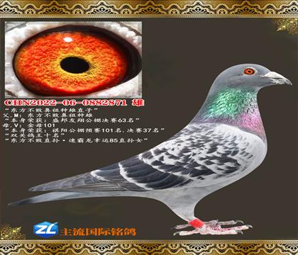 �������ܱ�������ֱ��