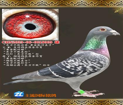 �������ܽ���.�ƽ��ֱ��