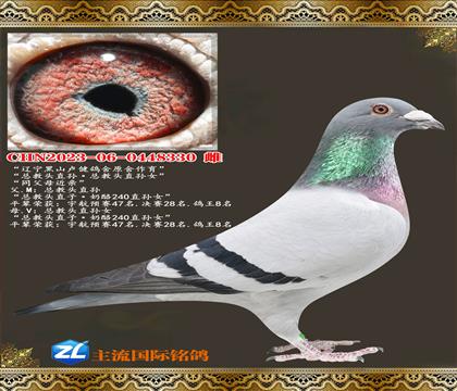 ������ɽ¬��������.�ܽ�ͷ����