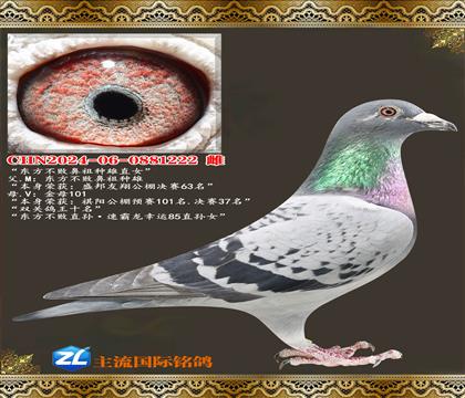 �������ܱ�������ֱŮ