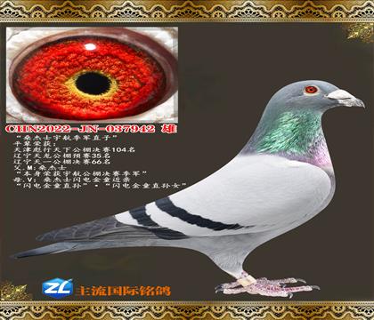 ɣ��ʿ�������ɣ��ʿ�����ͯ����