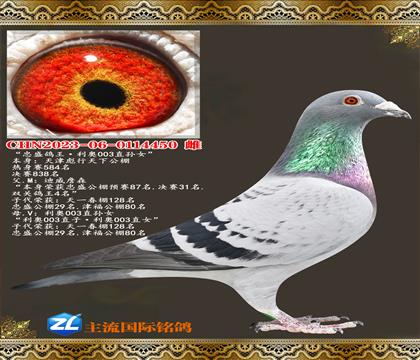 ��ʢ����������003��Ů