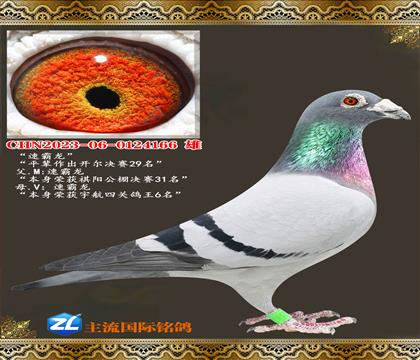 �ٰ���.����29��ƽ��