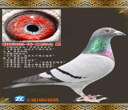 ����240ֱ����ƶ���Ů