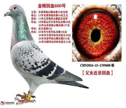 �����������40��ƽ��  ��Ů��Ѫ