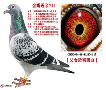 �����������40��ƽ�� ��Ů��Ѫ