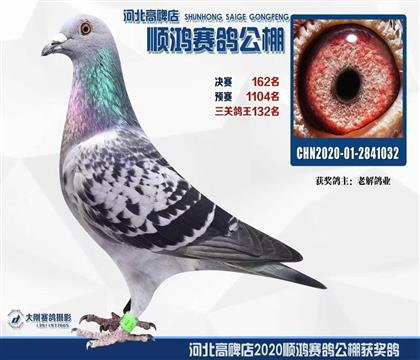 ˳�蹫�����162��