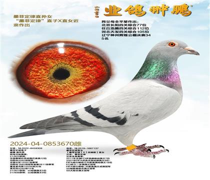 ī�ƶ���ֱ��Ů