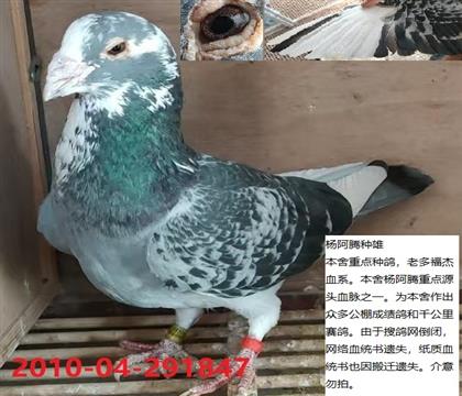 ����϶ร������