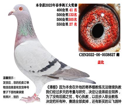 23�괺����سɼ��루�Ǳȣ�