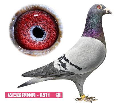 ������˹-����·��A571