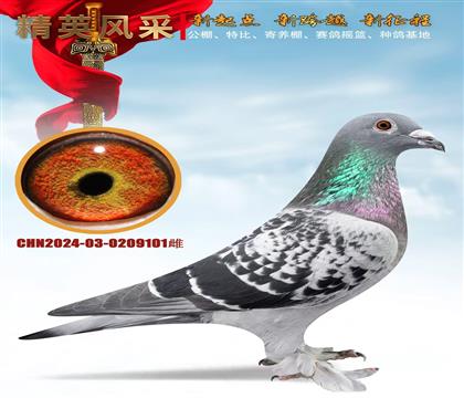 ������������Ѫ