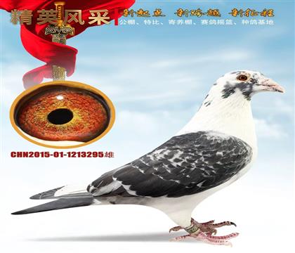 �ƽ����ۡ��ھ�Դͷ