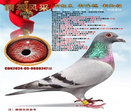 �߼�������Բ��Ѫϵ