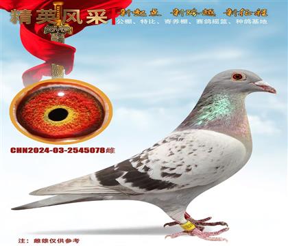 500����9��ĸ��