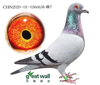 ���ǣ���������76ֱ��638