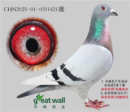 ���ǣ������������421��