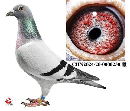 ������������240��Ů