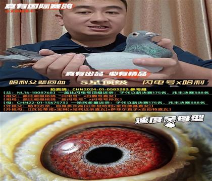 ���й���:�Ǳ��������ƽ��ͬ��˫˫��Χ