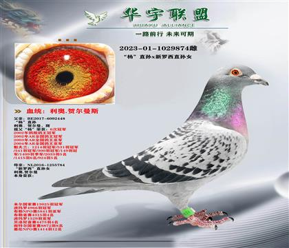 ���¸�����ֱ��X�λ��������Ů