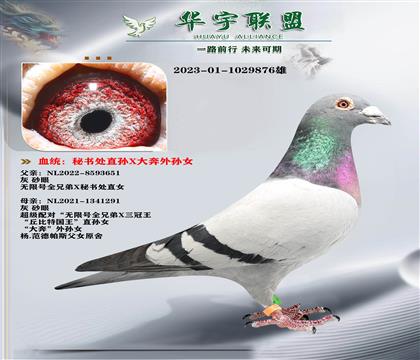 ������ ��ֱ����ŮX���鴦ֱ��