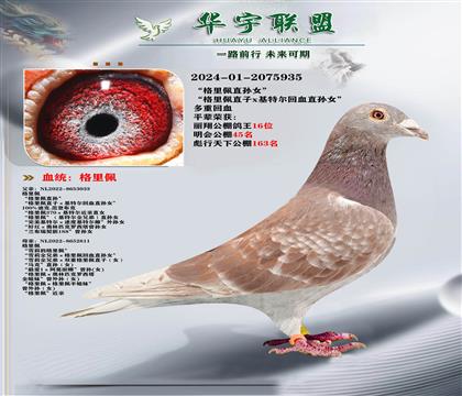 ������ ���ض� ������Ѫ