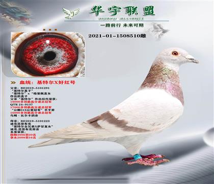 ��������� ���ض�ֱ��X�ú��ֱ��Ů