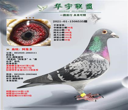 ��������� ������ֱ��Xֱ��Ů