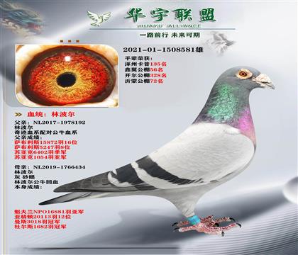 �ٶ�֮�� �ֲ��� ��ţ��X�漣�� ��ǿ��Ѫ