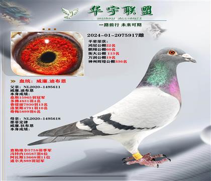 �����ϲ��� ������ ī�ƶ���ֱ��Xī�ƶ���ֱŮ