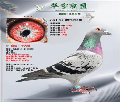 �ٶ�֮�� ������ С�Ͽ˻�Ѫ