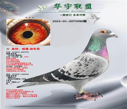 �����ϲ��� ������ֱ��X쫷�125ֱŮ