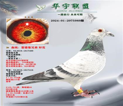 �׵��� ����19ֱ��X�û�ֱ��Ů ��ķ