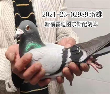 ����ˮ���550����79��