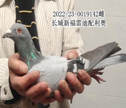 ����ˮ���386����7��